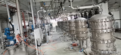 延迟退休新动态 “长寿药”企业计划上市引发网友热议，担忧120岁退休成真