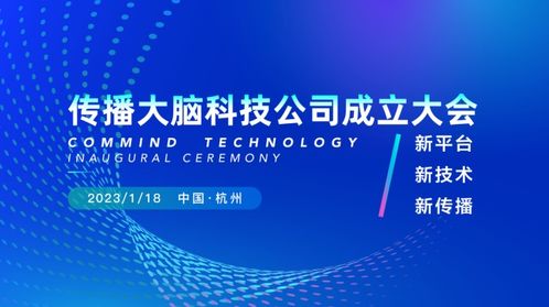 浙江网络技术服务 赋能数字化转型，引领智慧浙江新篇章